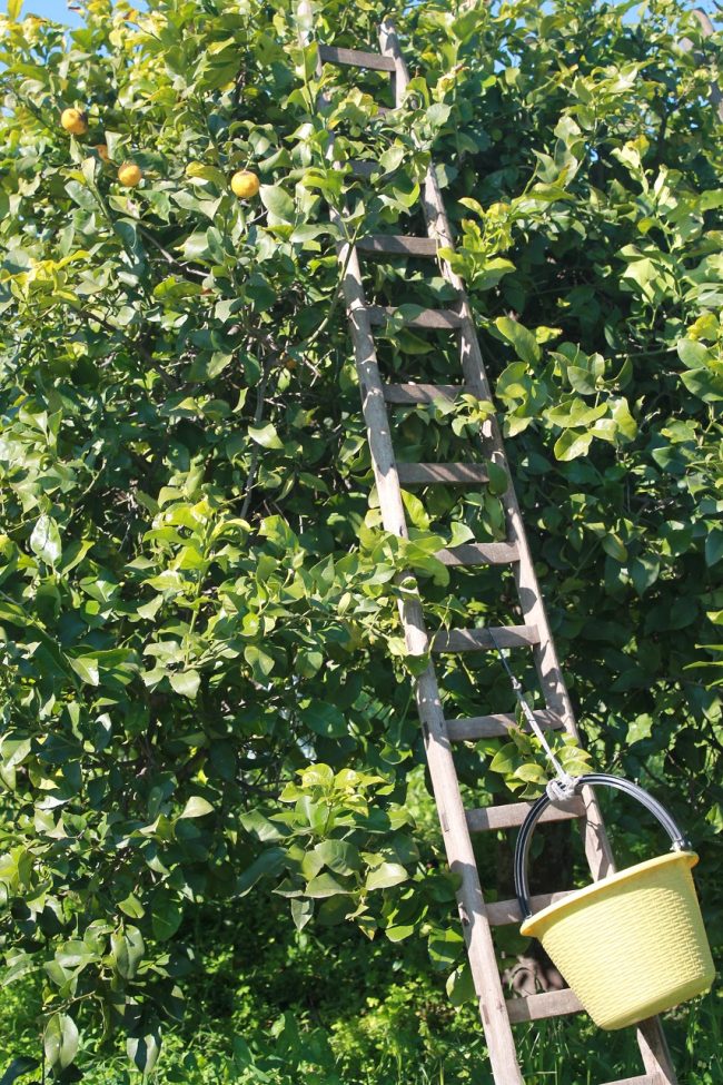 Field1.3.jpg
